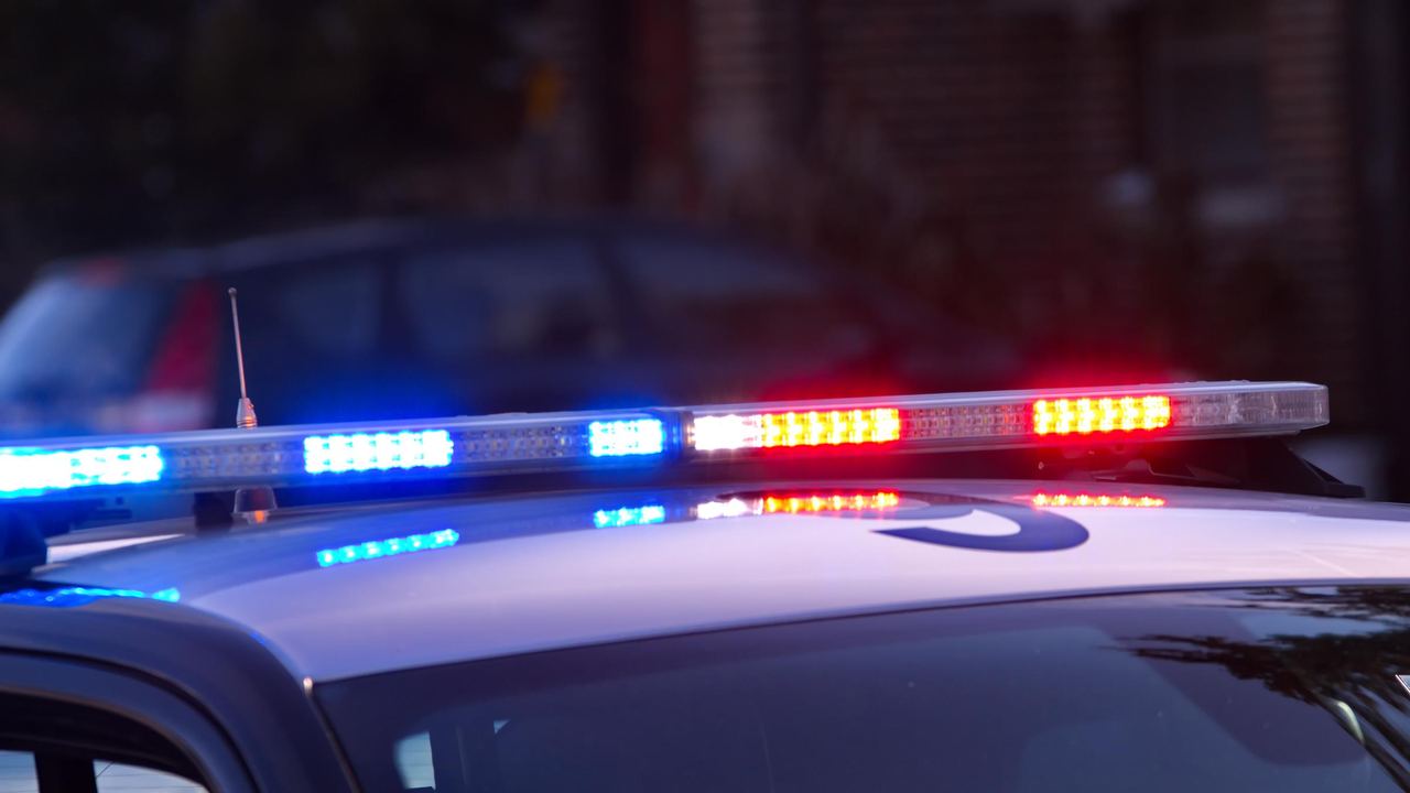 Police lights | Source: Shutterstock