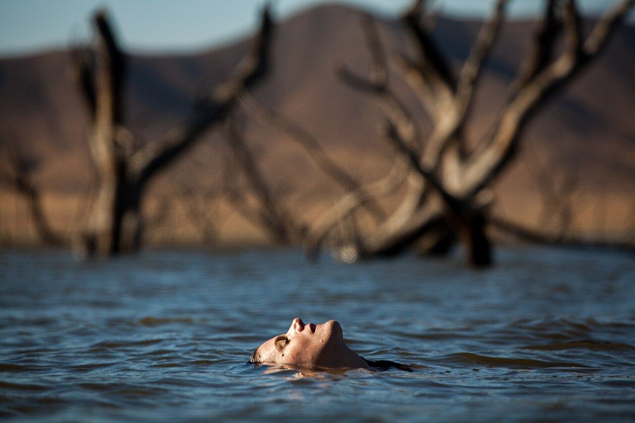 Heidi Quante. California Dreamin'