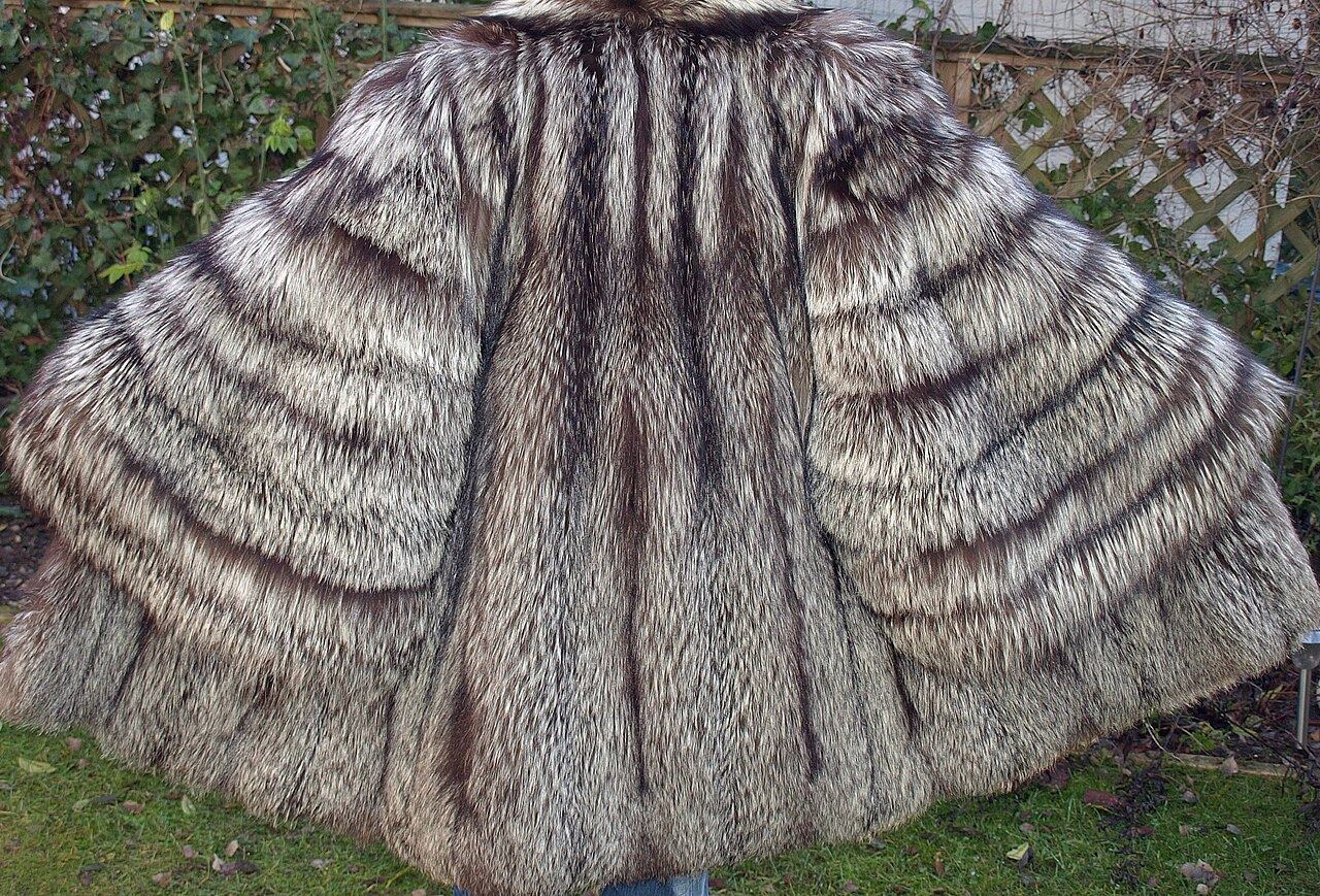 Silver fox fur coat