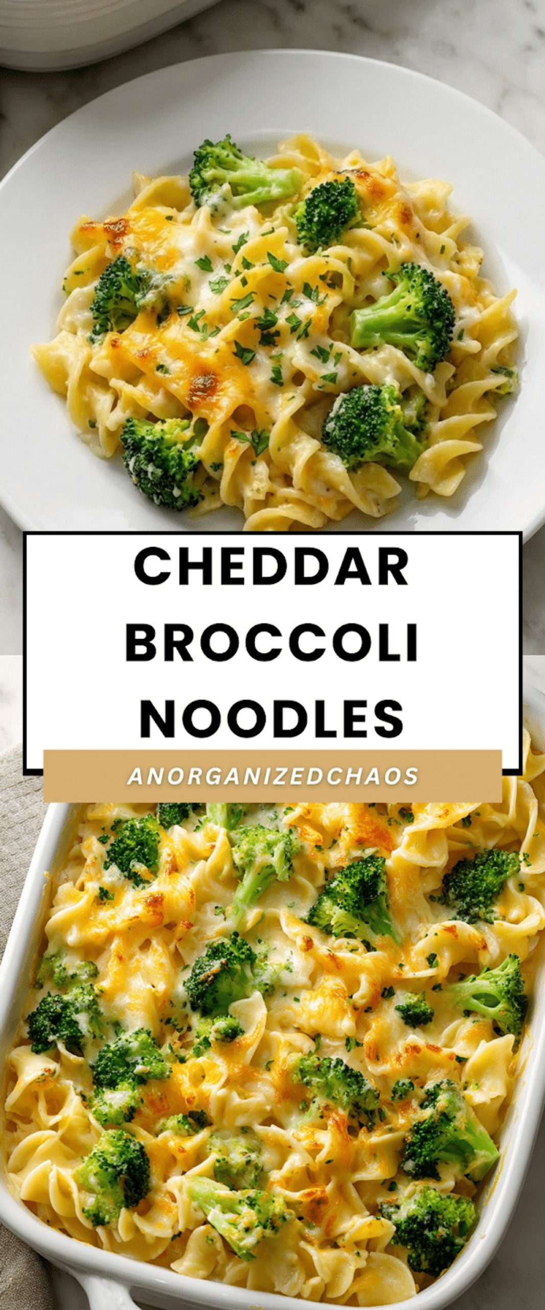 Cheddar Broccoli Noodles