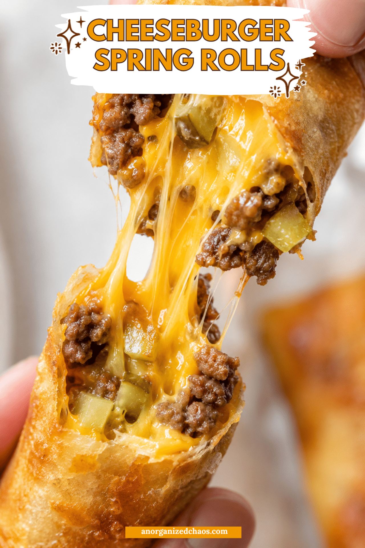 Cheeseburger Spring Rolls