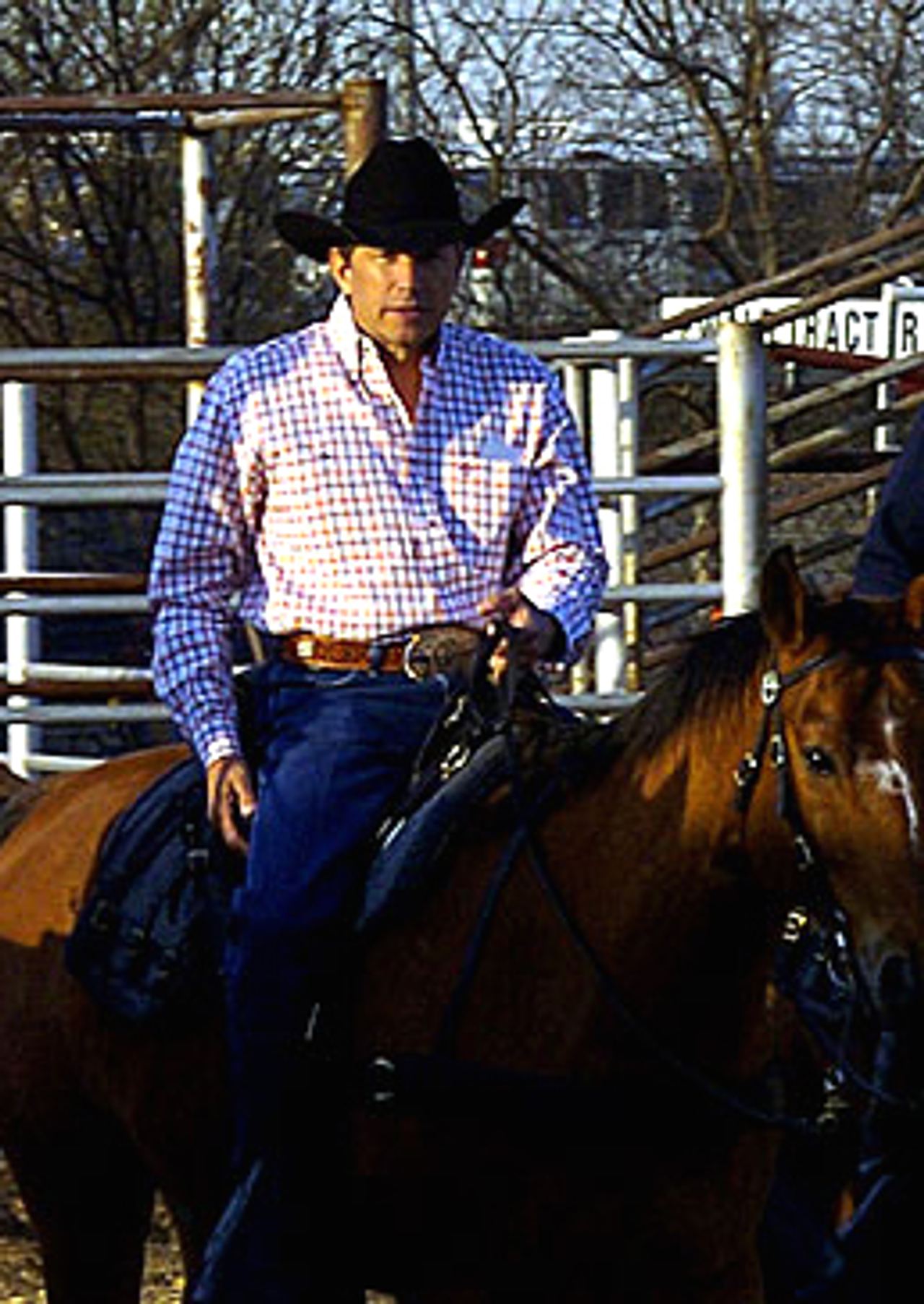 George strait 2005 cropped