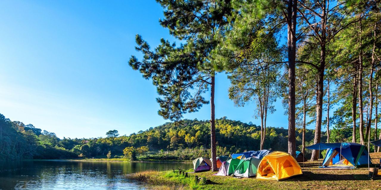 Camping tents | Source: Magnific