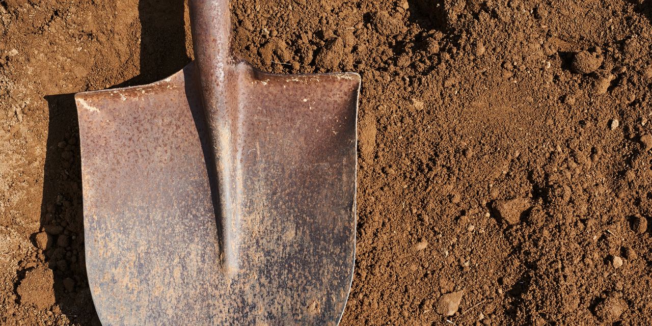 A shovel | Source: Shutterstock