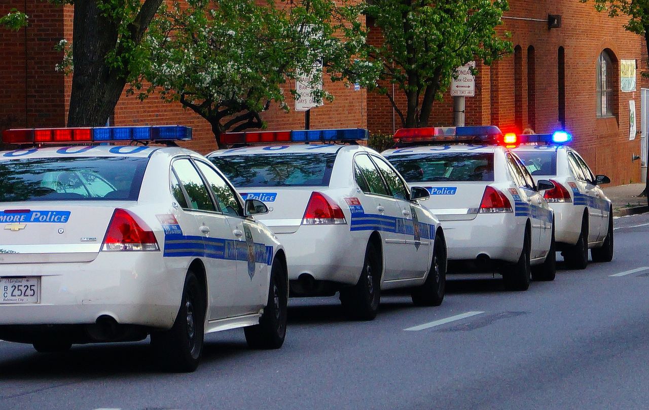 A row of police cars | Source: Jobs For Felons Hub