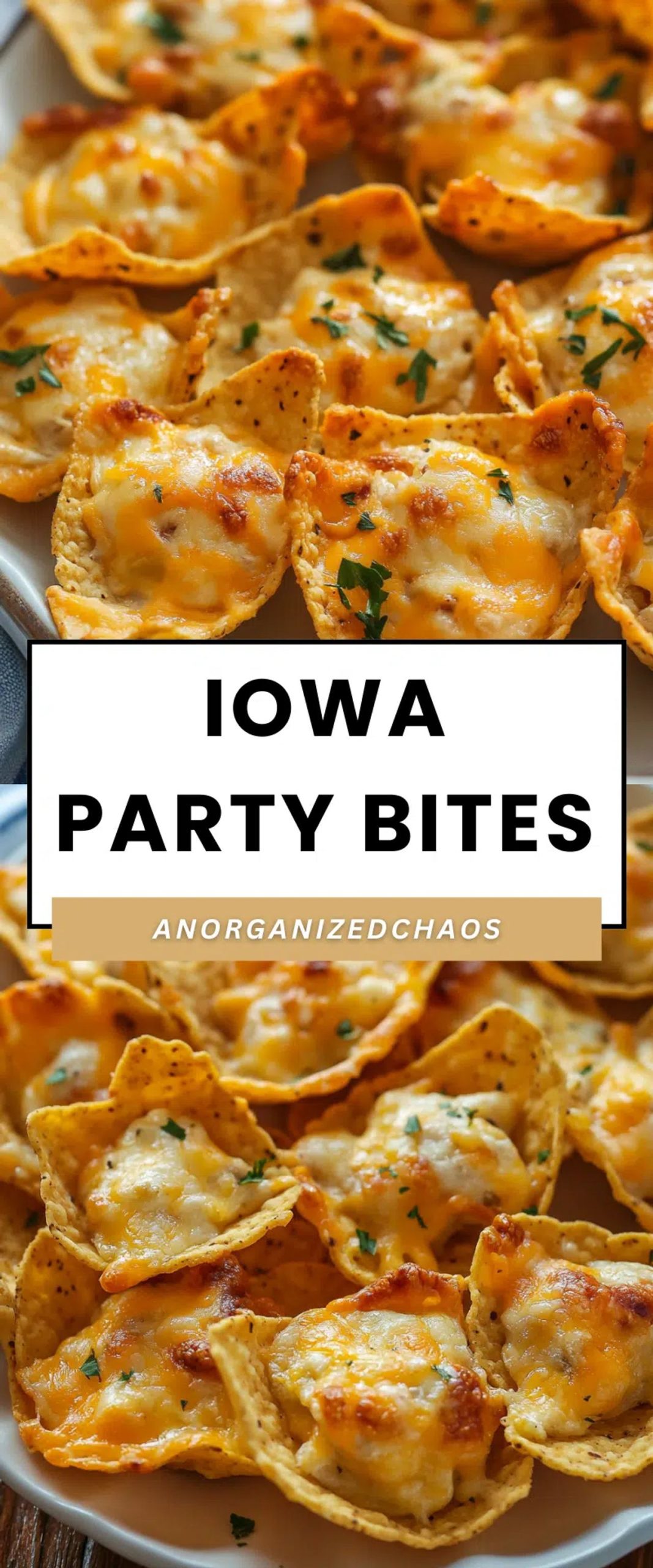 Iowa Party Bites