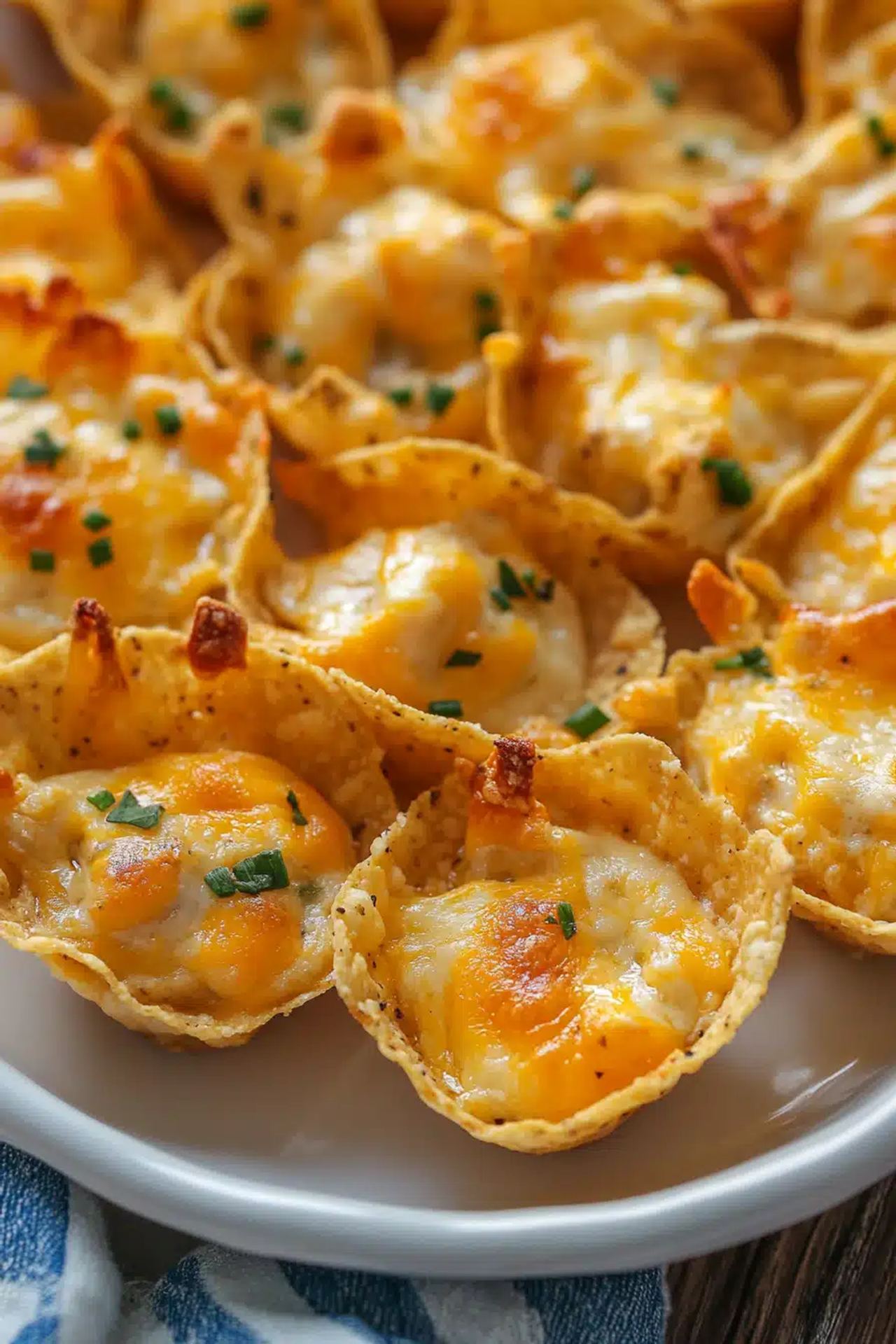 Iowa Party Bites