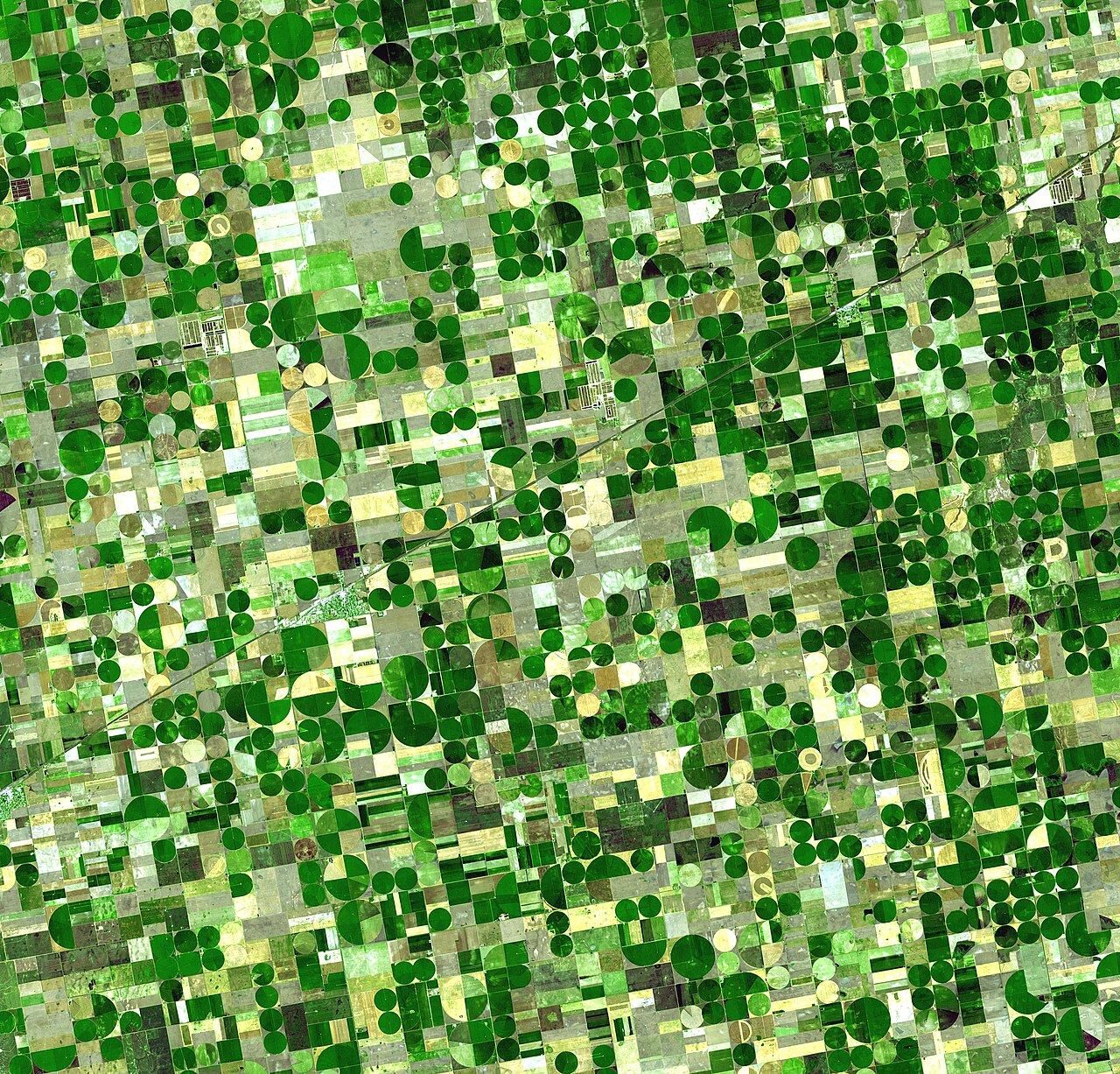 Crops Kansas AST 20010624
