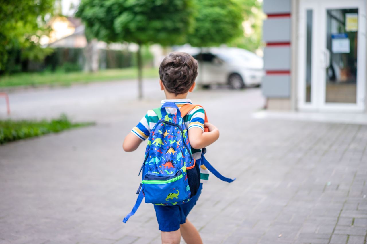 Back view of a child with a colorful dinosaur backpack | Source: Pexels