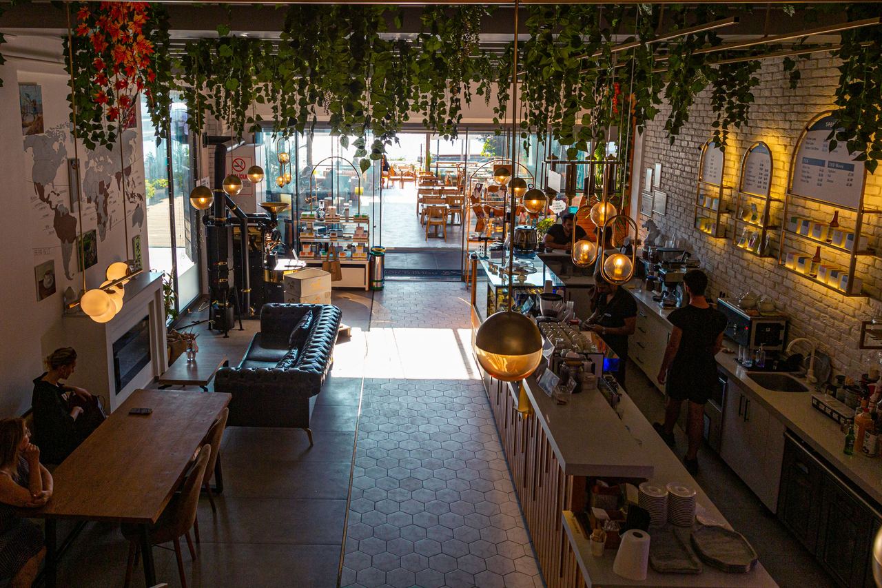 A cozy modern café with warm lighting and lush greenery | Source: Pexels