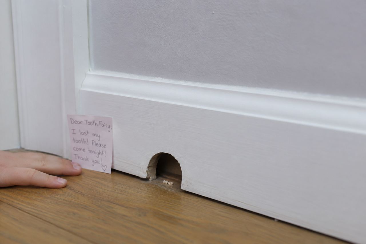 A tiny door for the Tooth Fairy | Source: AmoMedia