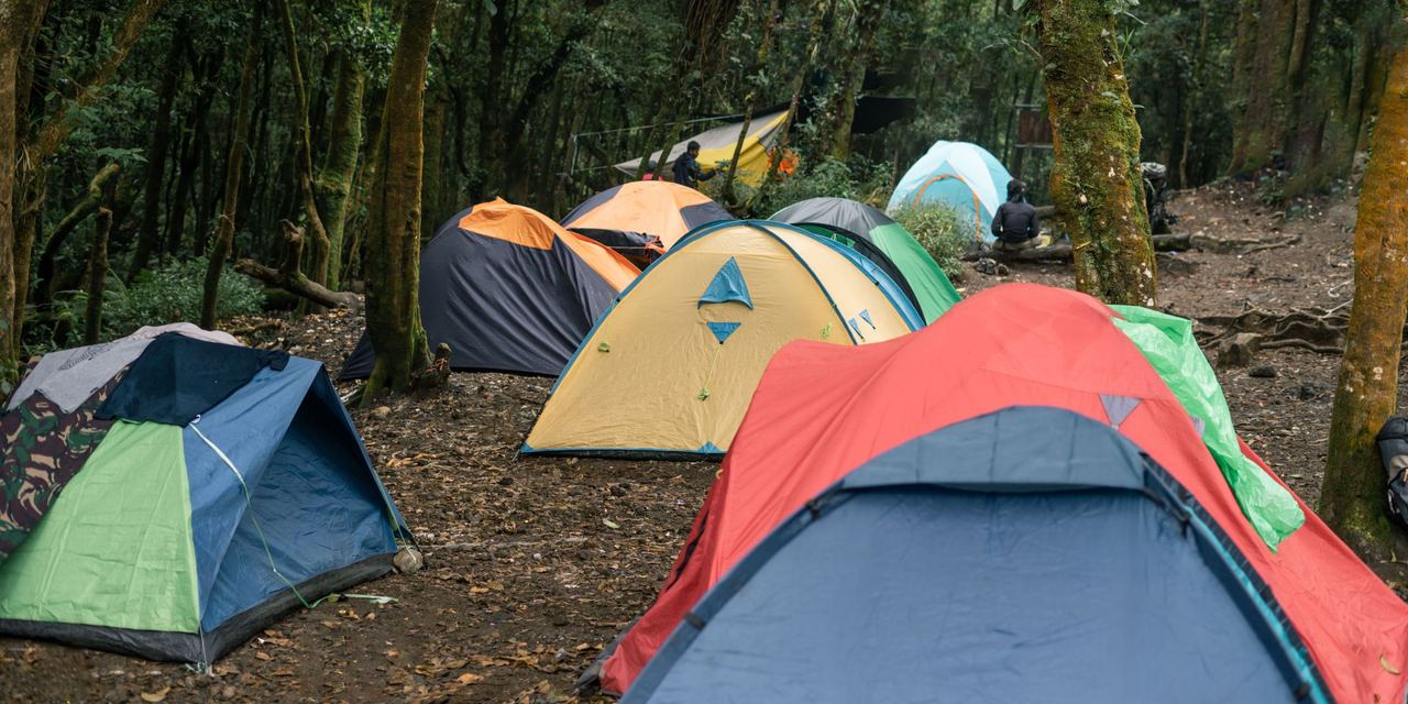 Tents at a campsite | Source: Pexels