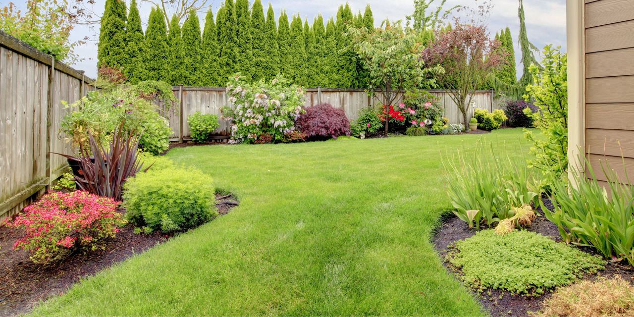 A fenced backyard | Source Shutterstock