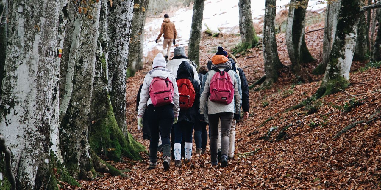 A group of people hiking | Source: Pexels
