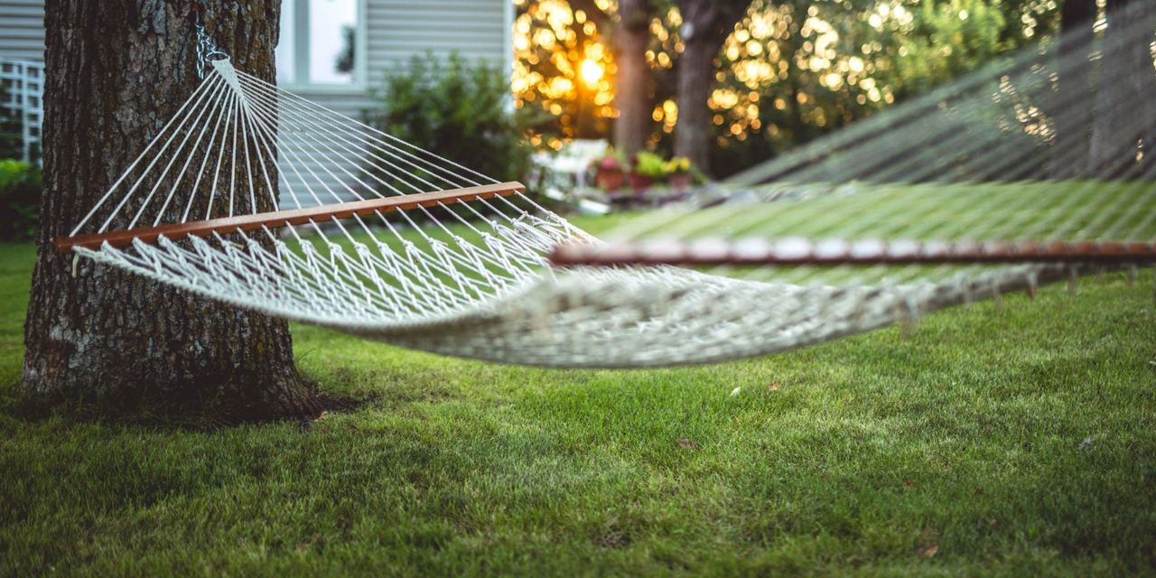 Tranquil backyard scene | Source: Pexels