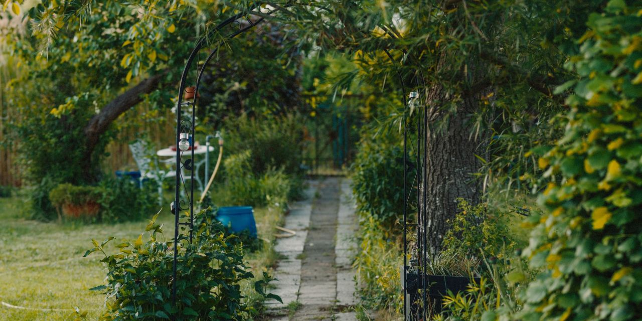 A garden | Source: Pexels