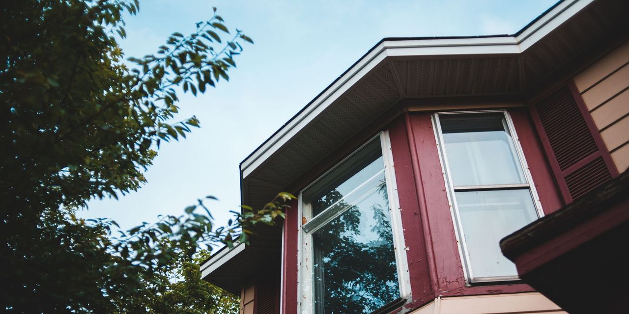A house surrounded by trees | Source: Pexels
