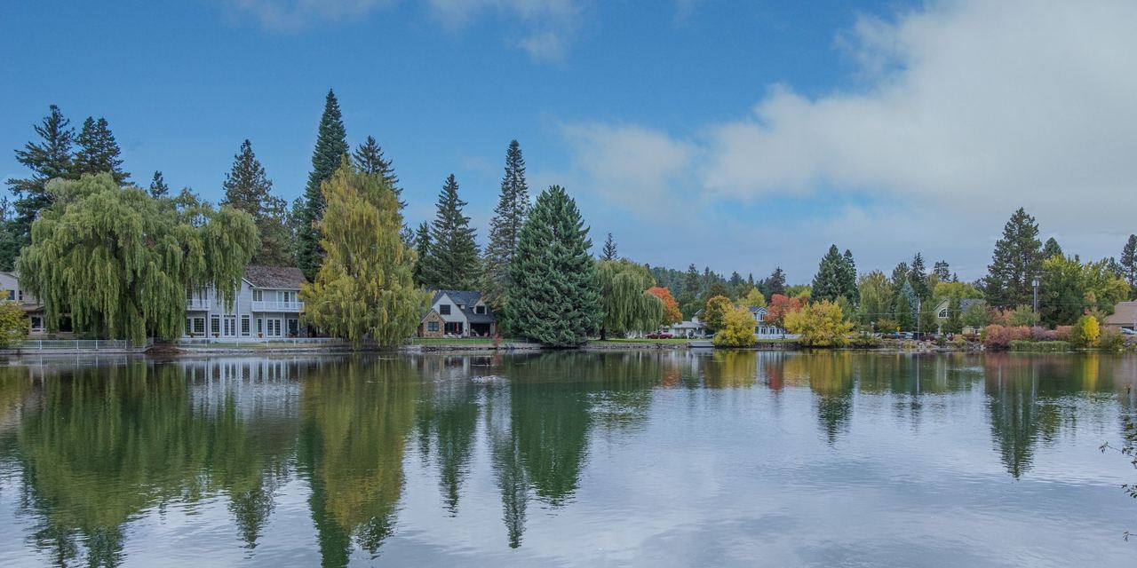 A clear lake view with trees | Source: Magnific