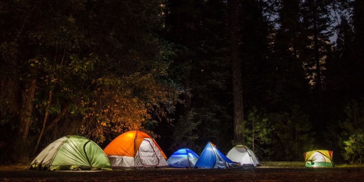 Several colorful camping tents set up in a forest at night | Source: Pexels