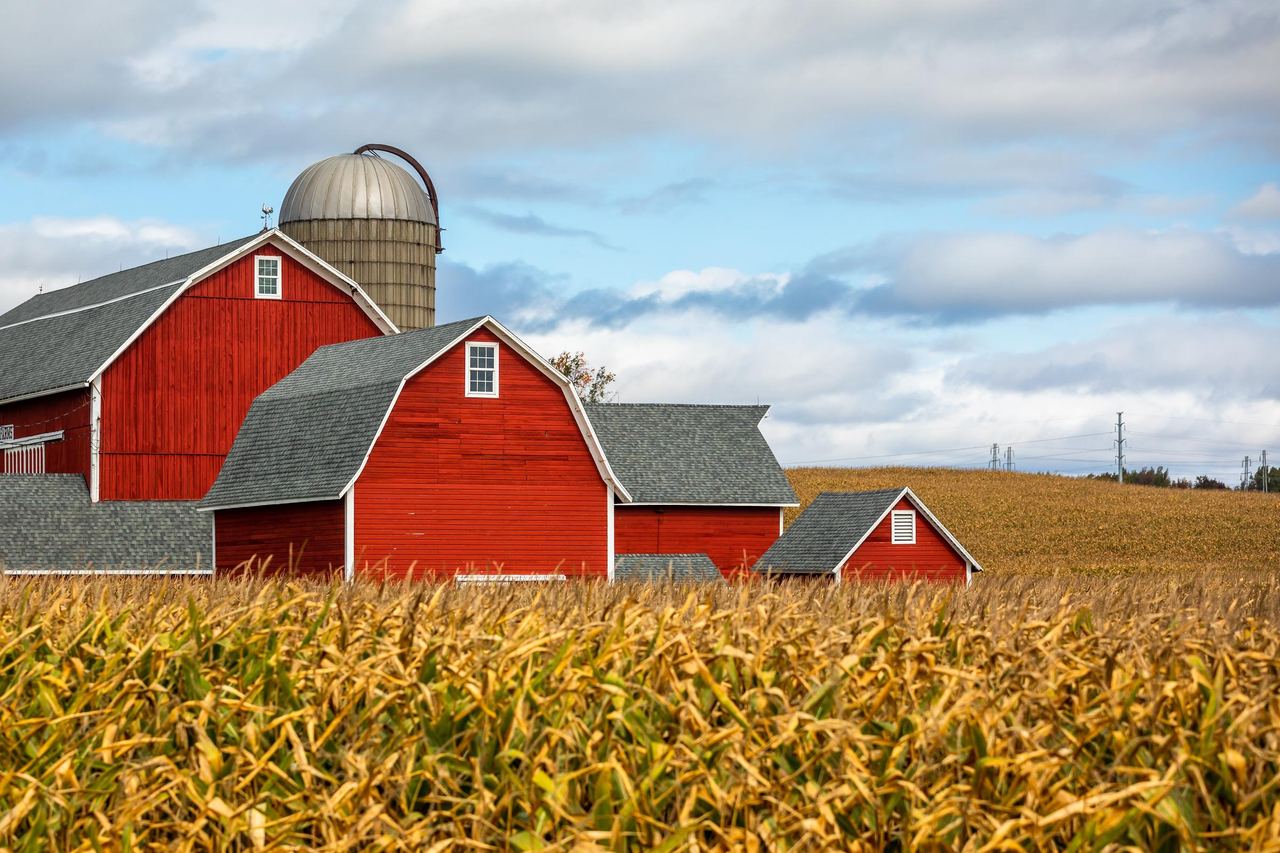 Barns on a farm | Source: Shutterstock