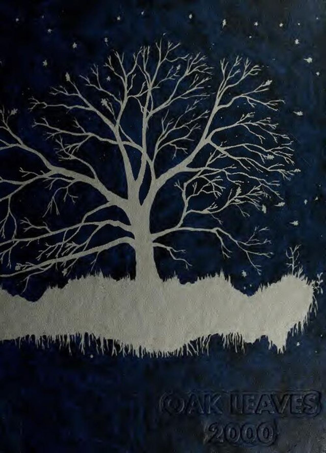 Oak leaves (electronic resource) (IA oakleaves2000bapt)