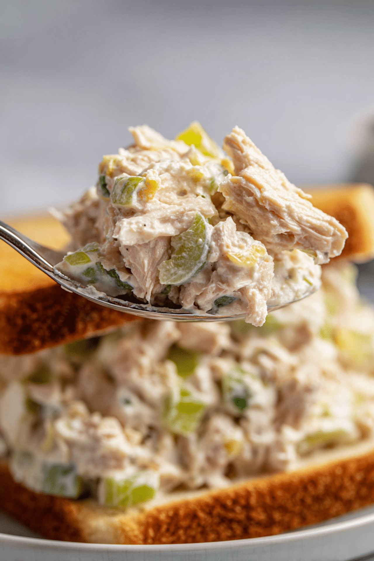 The Best Tuna Salad