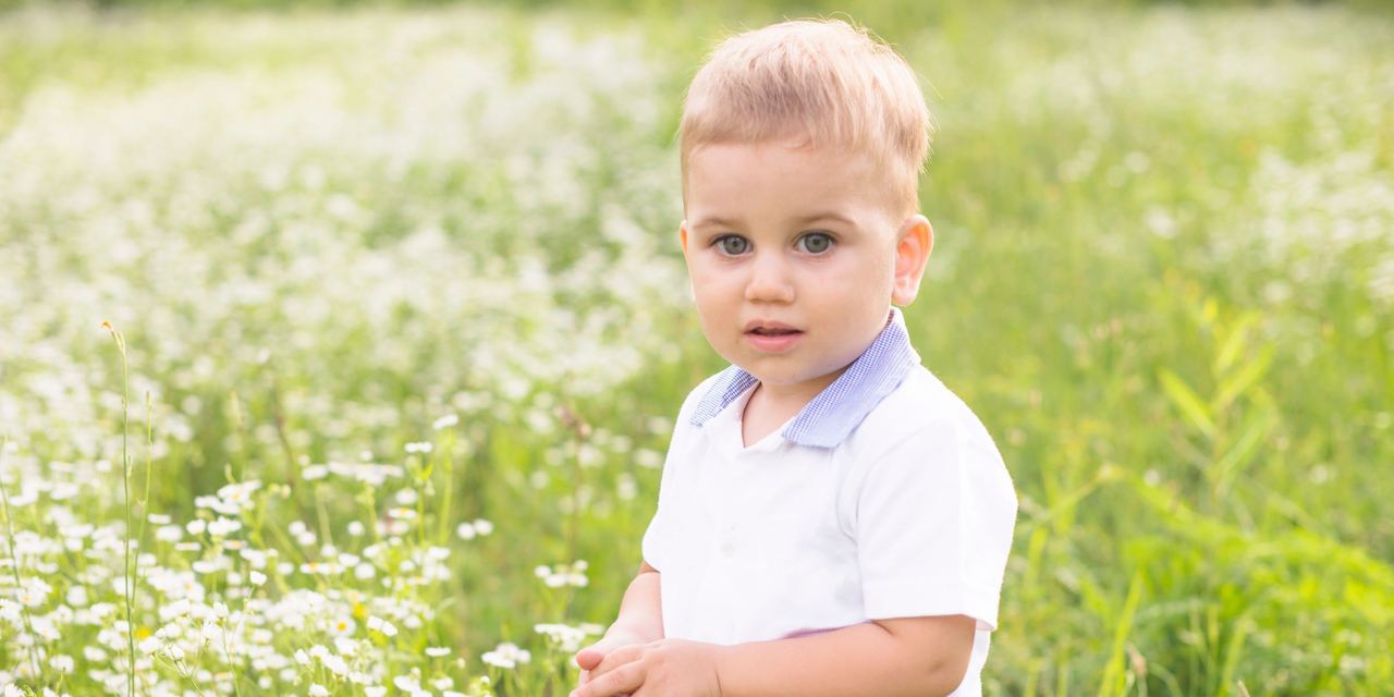 A little boy standing in the meadow | Source: Magnific