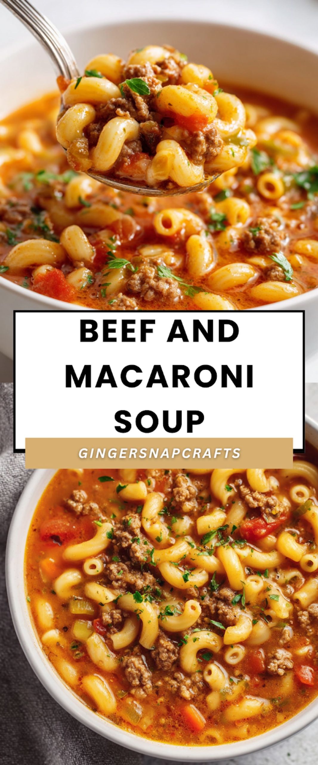 Beef and Macaroni Soup