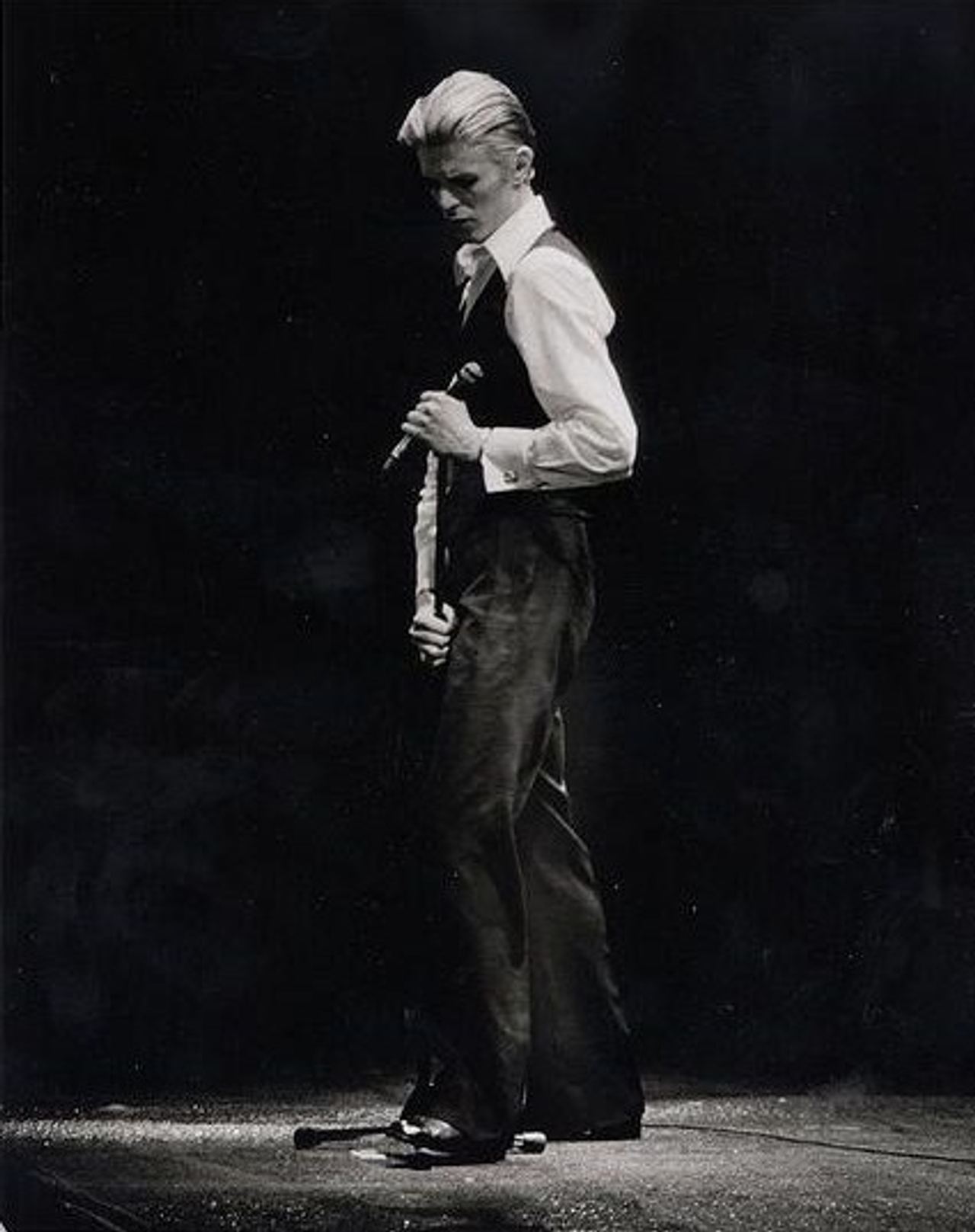 The Thin White Duke 76