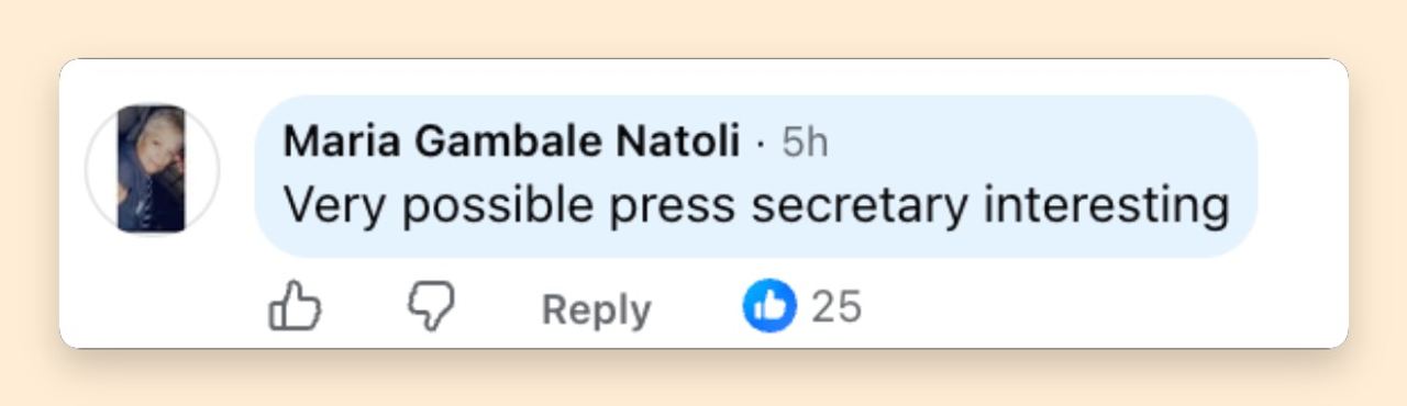 Bartiromo's sudden departure sparked online speculation about what could come next. Social media users quickly began sharing their theories. | Source: Facebook/nytimes