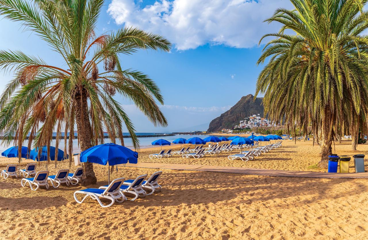 Sandy beach | Source: Shutterstock