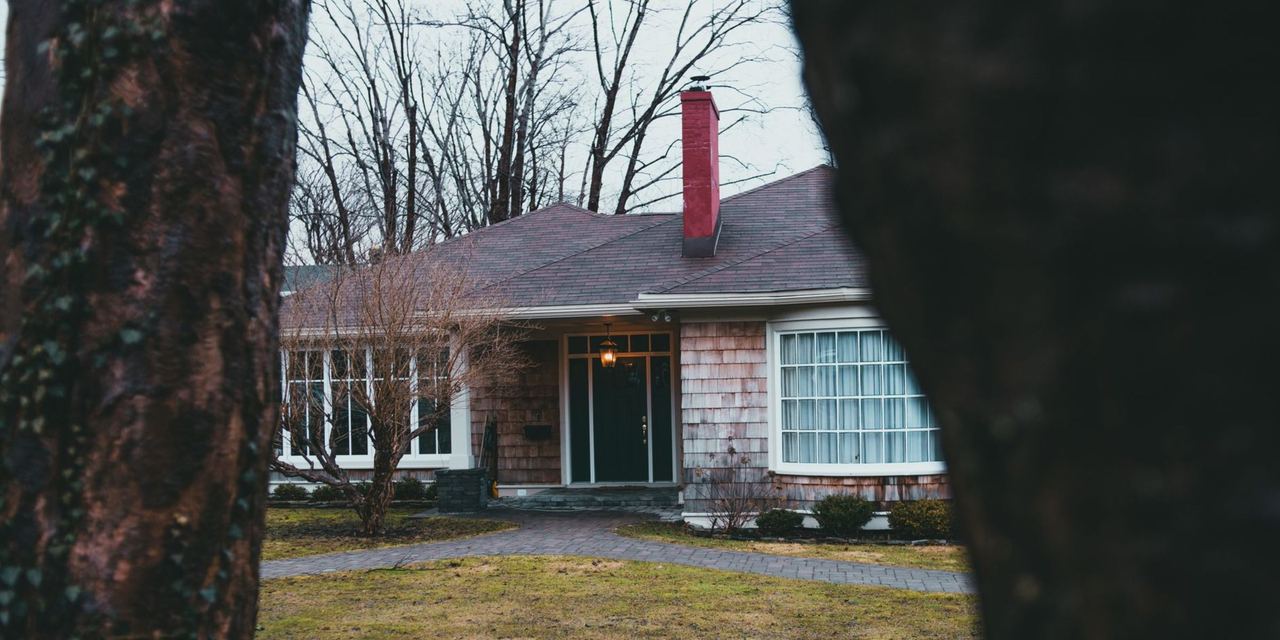 A quiet suburban home framed by two large trees | Source: Pexels