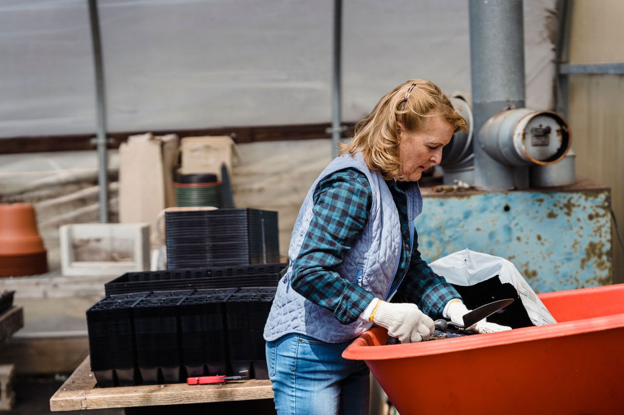 Woman working in a green house | Source: Pexels