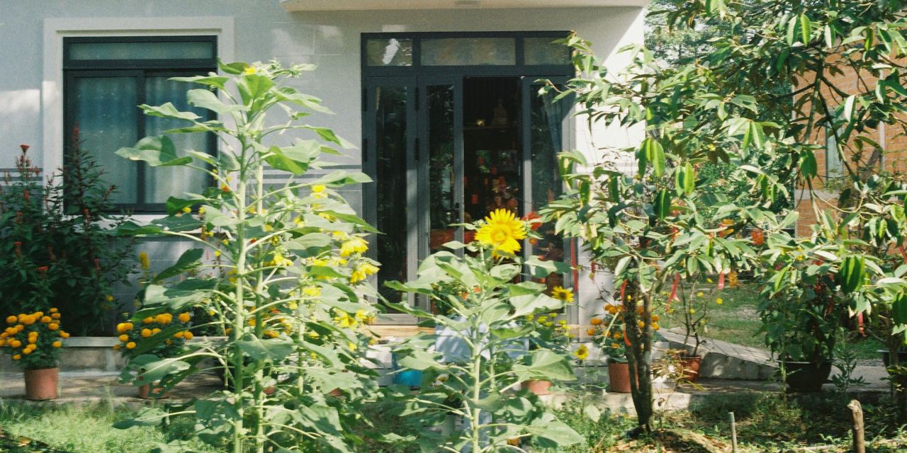 View of a house and garden | Source: Pexels