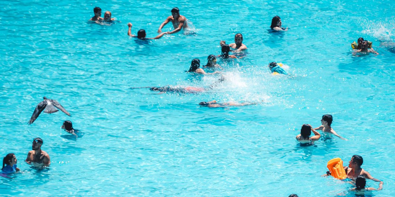 People swimming | Source: Pexels