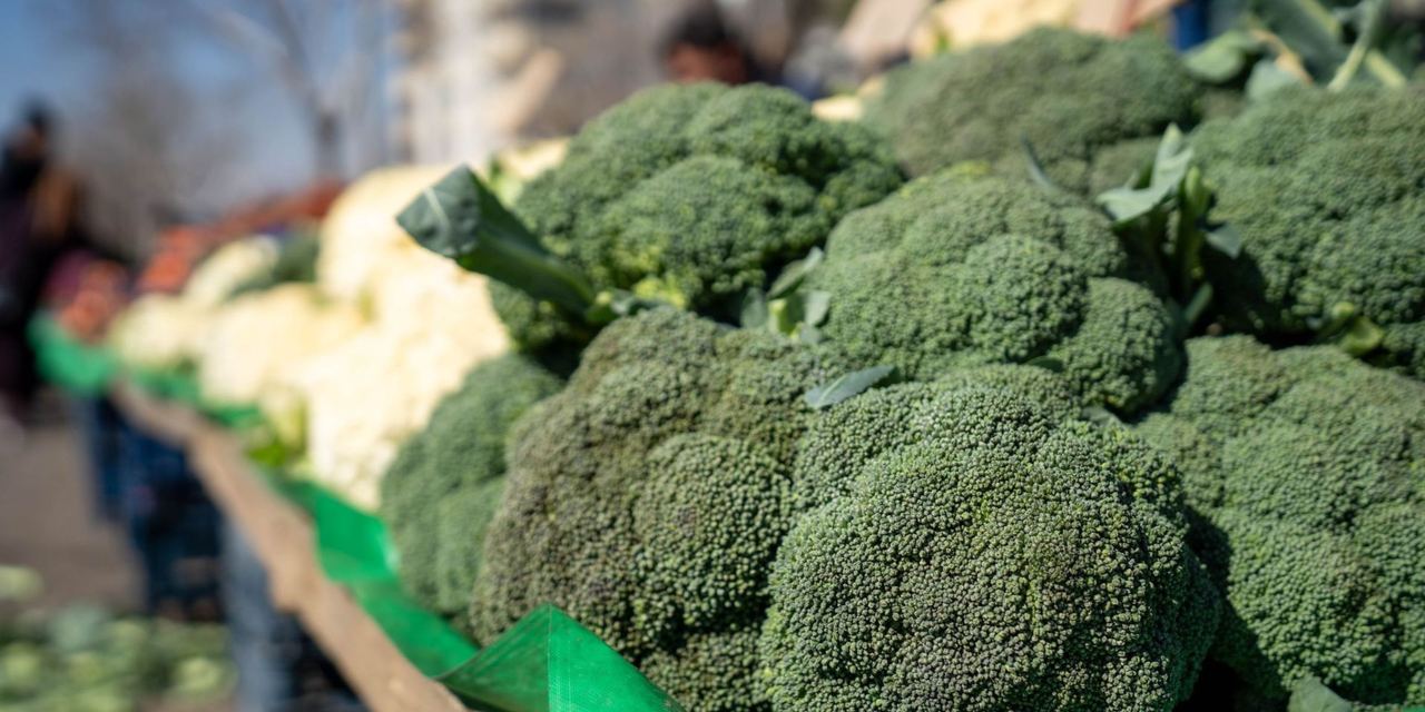 Broccoli | Source: Pexels