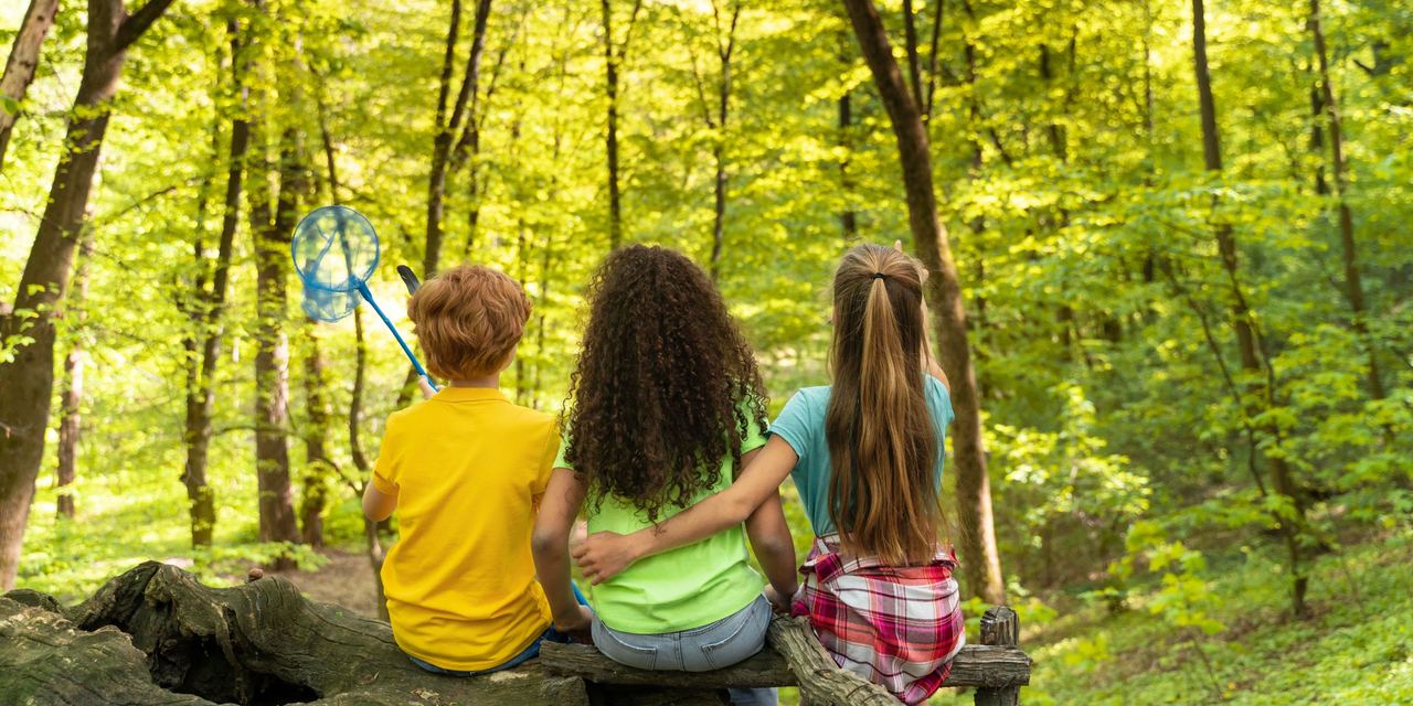 A back view of three young children hanging out in the woods | Source: Magnific