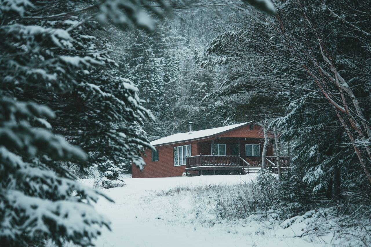 A small house in the forest in the mountains | Source: Pexels