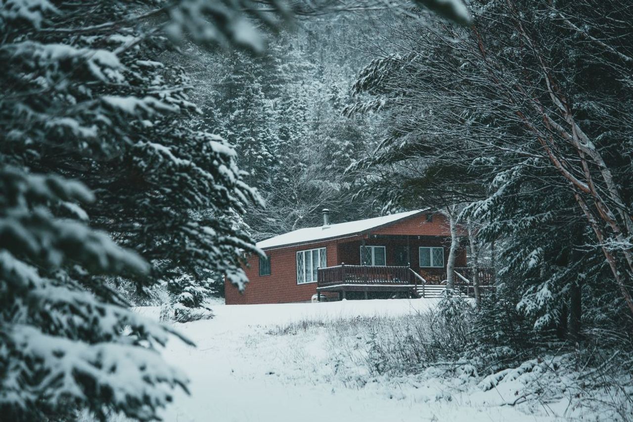 A Man Brought His Fiancée to His Family's Mountain Cabin to Meet His Parents and Grandma – But at Night, He Overheard Gr