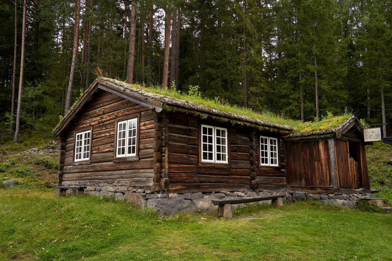 A cabin in the woods | Source: Pexels