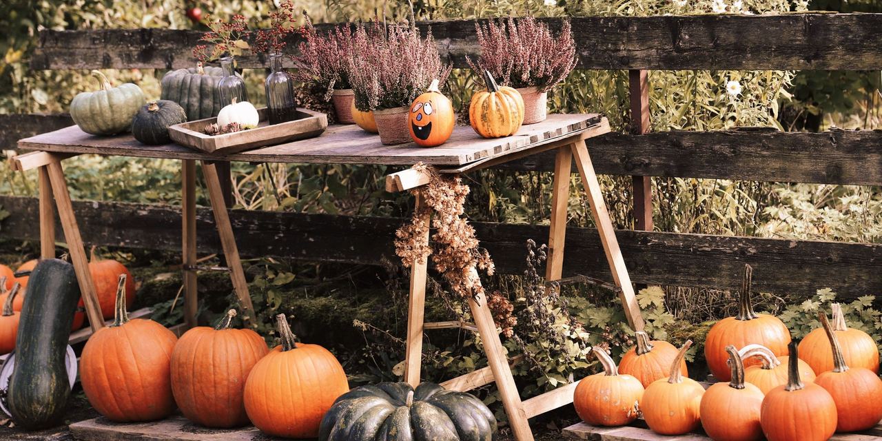 An outdoor Autumn harvest display | Source: Pexels