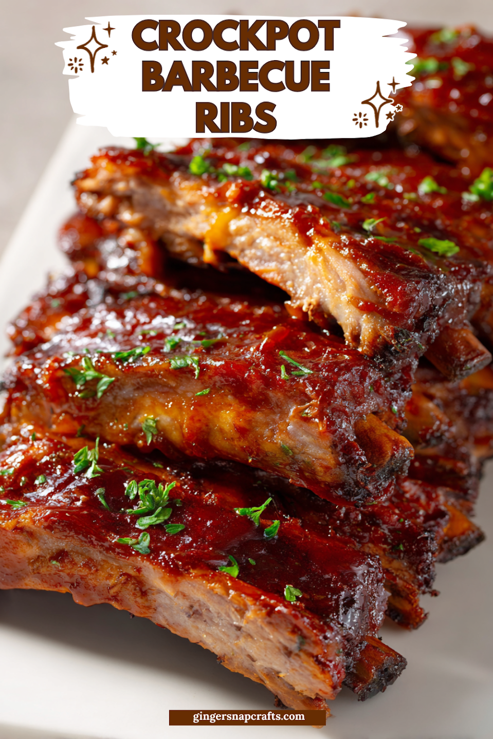 Small Rib Cuts Crockpot Barbecue Ribs - Today’s Story!