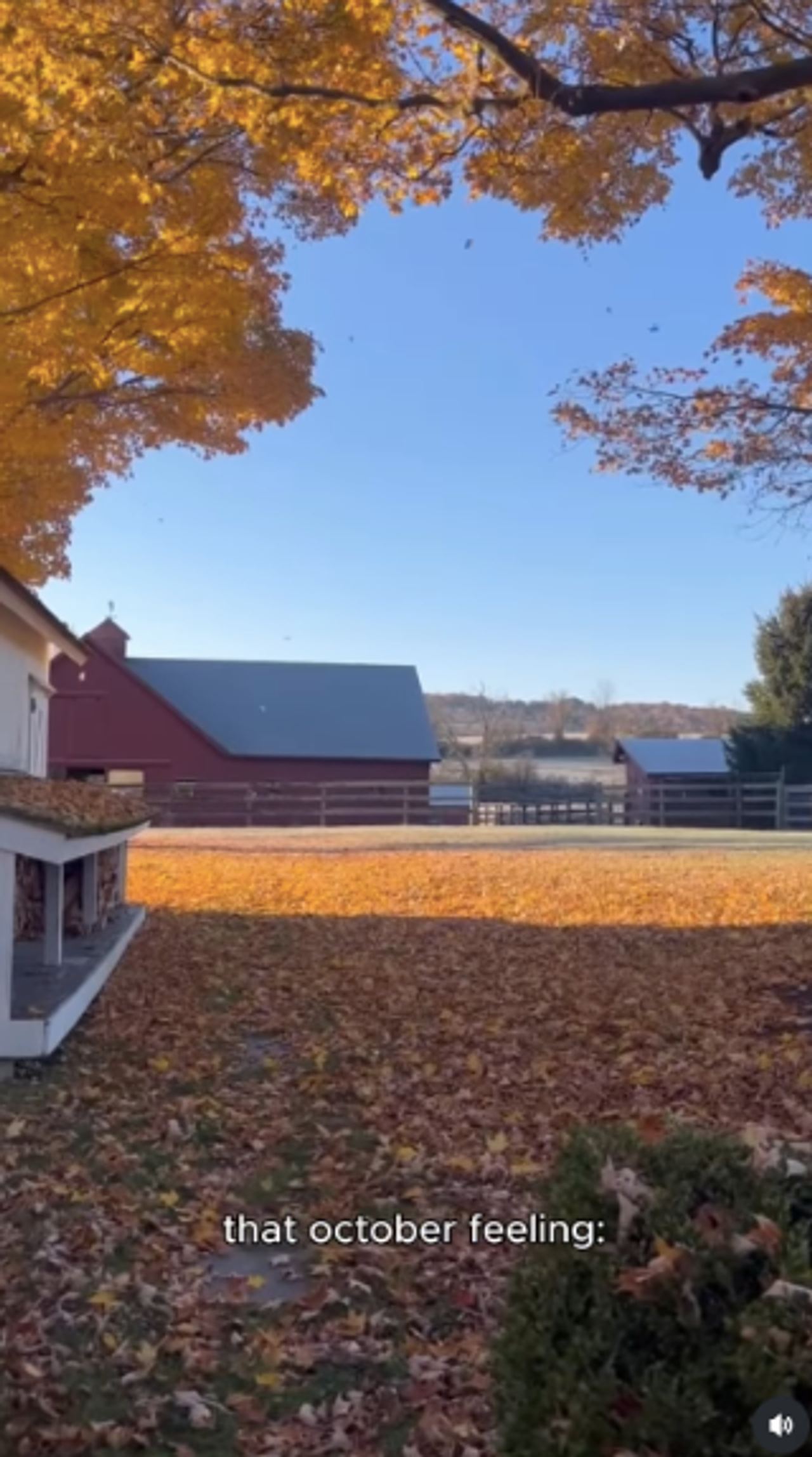 Bacon bought the Connecticut property in 1983, before "Footloose" turned him into a major star. What began as a modest rural escape would eventually become a longtime family retreat. | Source: Instagram/kyrasedgwickofficial