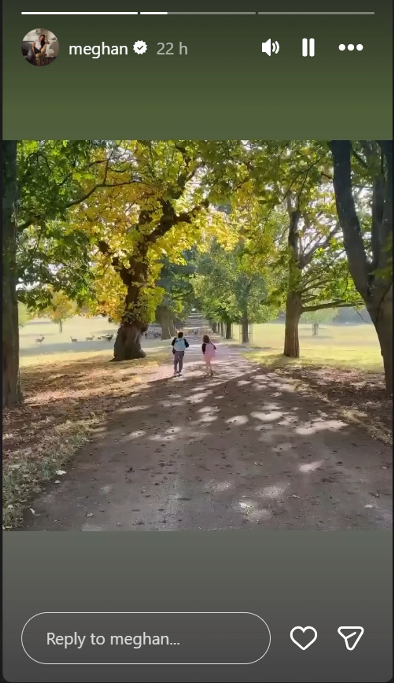 Meghan's new video showed Archie and Lilibet enjoying a countryside walk, with deer visible nearby. However, some viewers questioned the outing's safety and the children's surroundings. | Source: Instagram Story/meghan