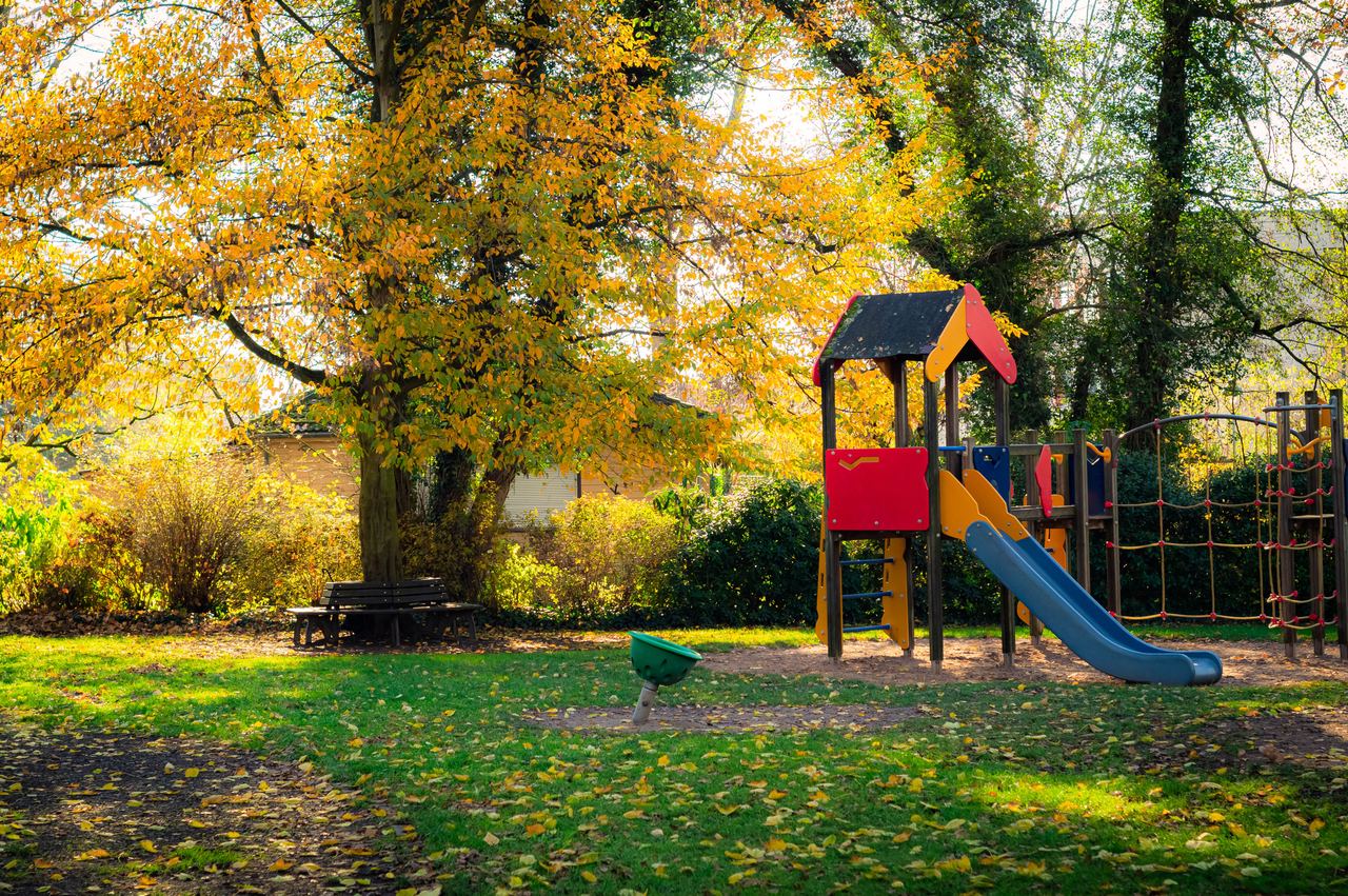 A playground with a fall tree | Source: Pexels