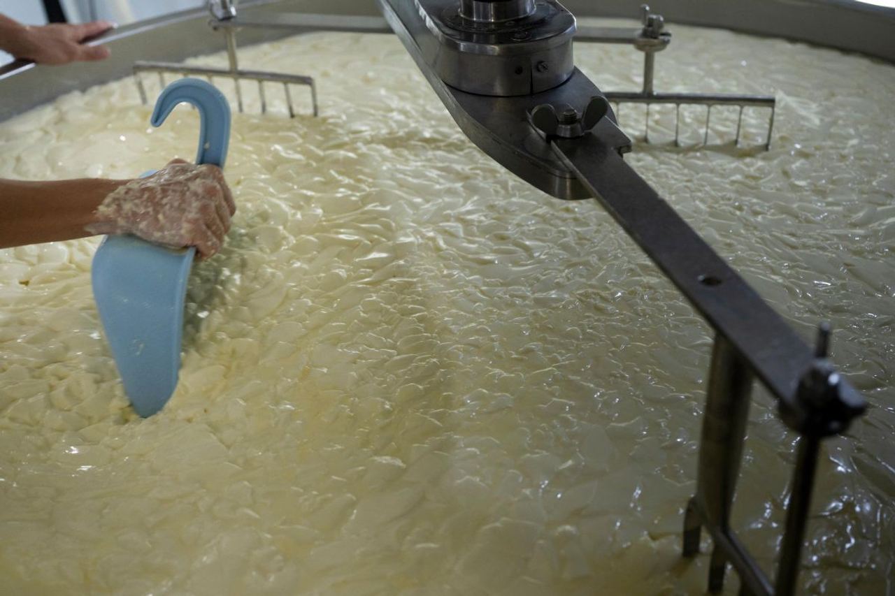 Raw Milk Cheese Sold Across Multiple States Pulled from Shelves Amid E. Coli Outbreak — Check If You Have It
