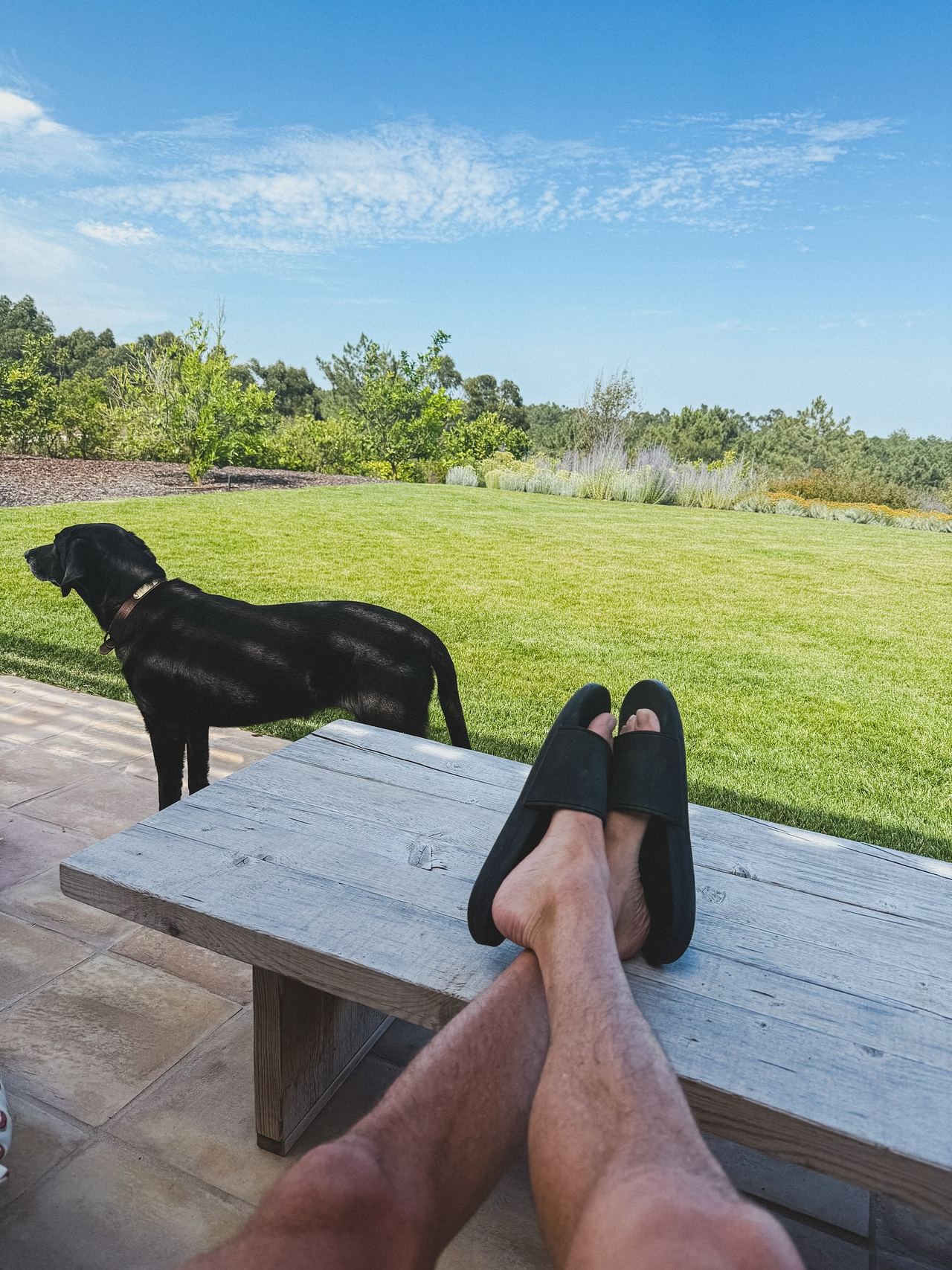 Ryan Seacrest shares a peaceful backyard view while relaxing with his dog nearby, posted on June 30, 2025. | Source: Instagram/ryanseacrest